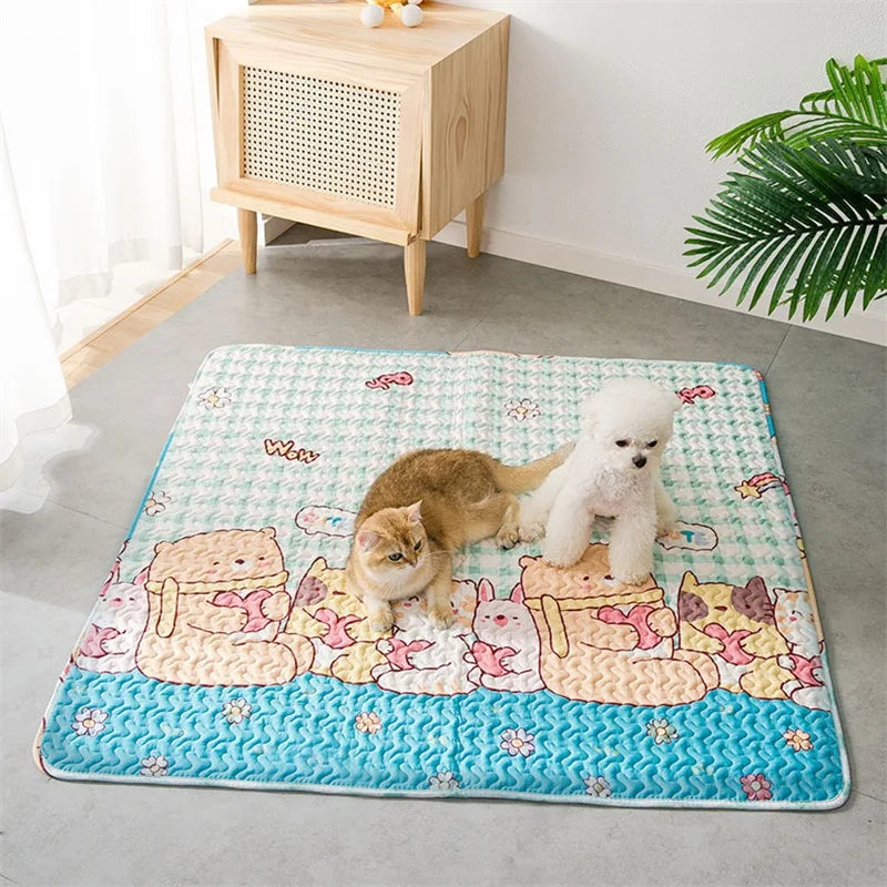 Reusable Pet Training Mat
