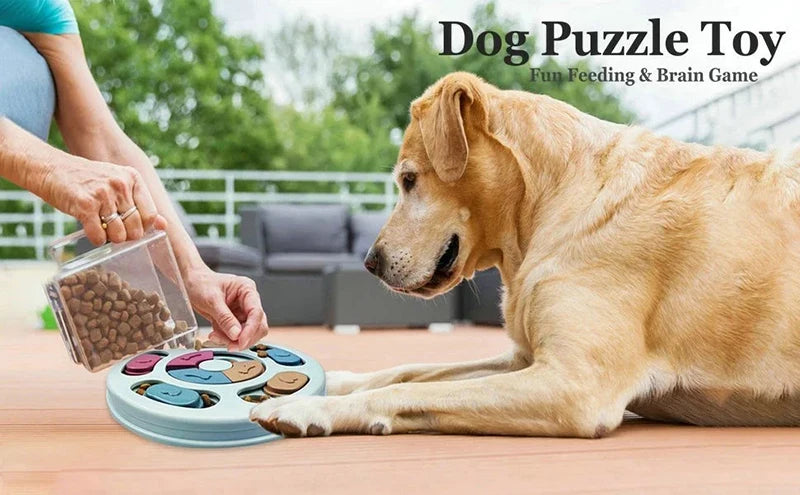 Dog interacting with a puzzle toy outdoors