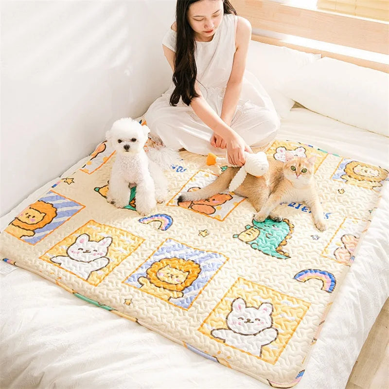 Reusable Pet Training Mat